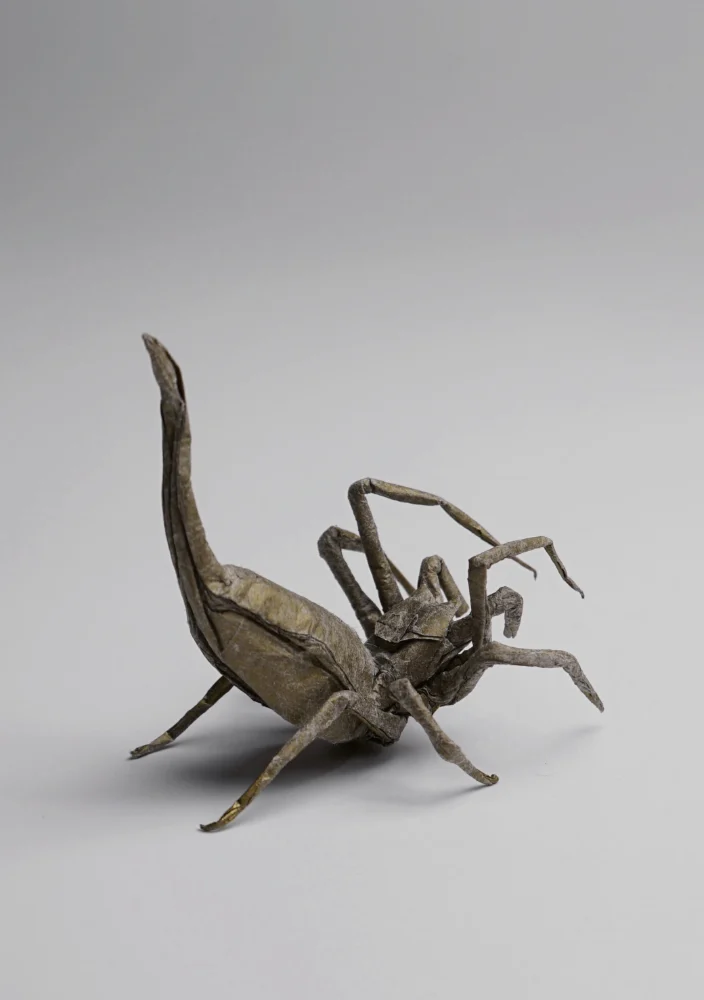 Origami Poltys Mouhoti Spider designed by Đỗ Anh Tú, folded by Đỗ Anh Tú