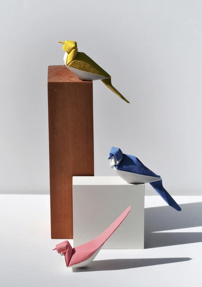 Origami Bird designed by Giang Đinh Trường, folded by Giang Đinh Trường, using ARCHES paper (Painted on one side)