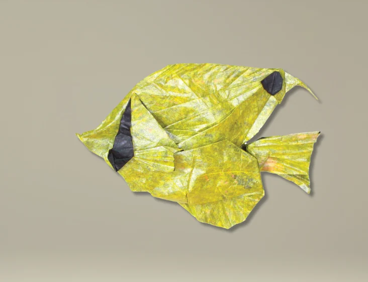 Origami Threadfin Butterflyfish designed by Winston Lee, folded by Winston Lee