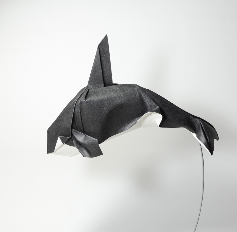 Origami Killer whale designed by Hoàng Tiến Quyết, folded by Hoàng Tiến Quyết, using ARCHES paper (Rought (Torchon) - 300 gsm)