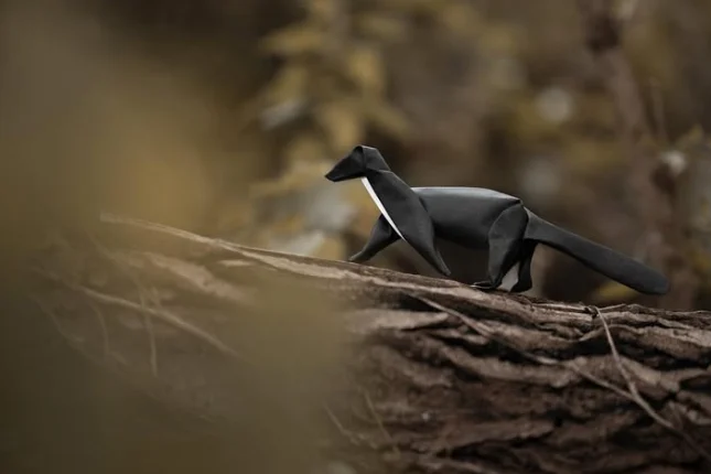 Origami Weasel designed by Rebouillat Jonathan, folded by Rebouillat Jonathan, using ARCHES paper (Painted on one side)
