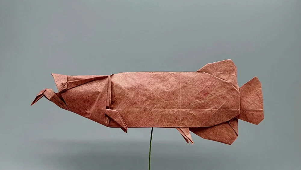 Origami Arowana designed by Red Paper - Wonseon Seo, folded by Red Paper - Wonseon Seo, using Youjeji paper (Red)