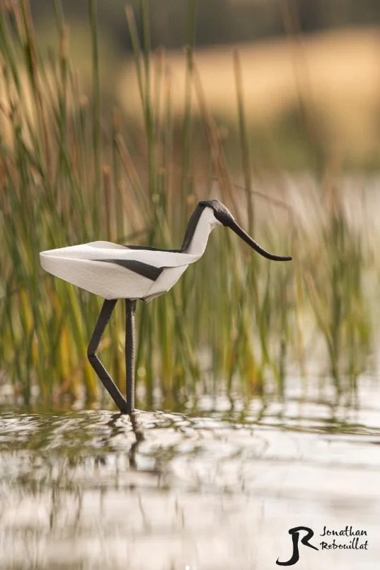 Origami Pied Avocet designed by Rebouillat Jonathan, folded by Rebouillat Jonathan, using ARCHES paper