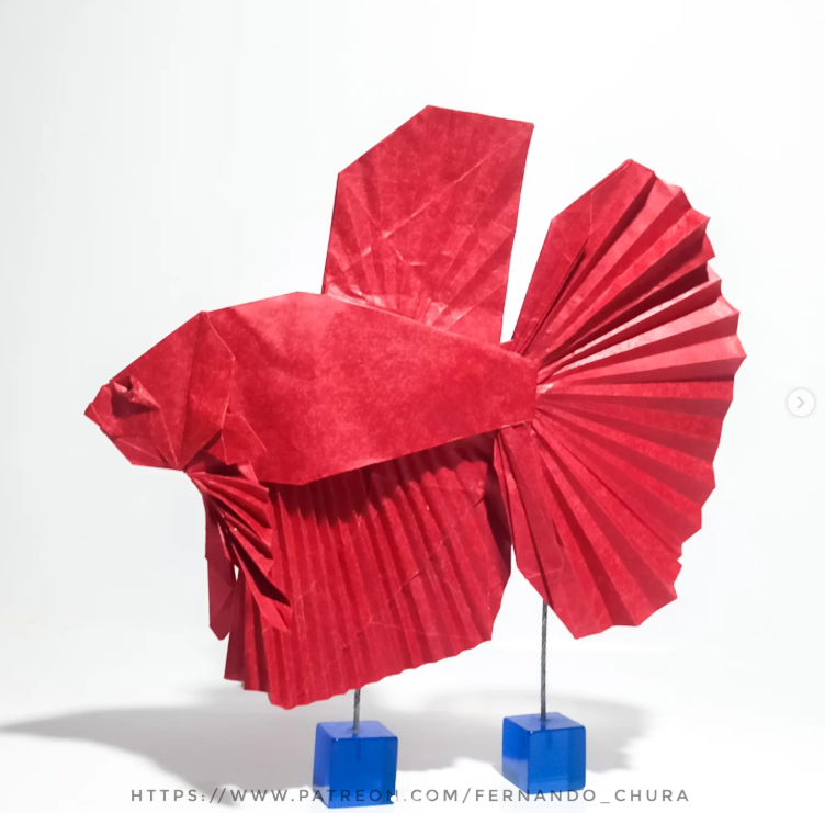 Origami Betta designed by CHURA HUANCA Fernando, folded by Chura Huanca Fernando, using GRAINY paper (Red Blood)