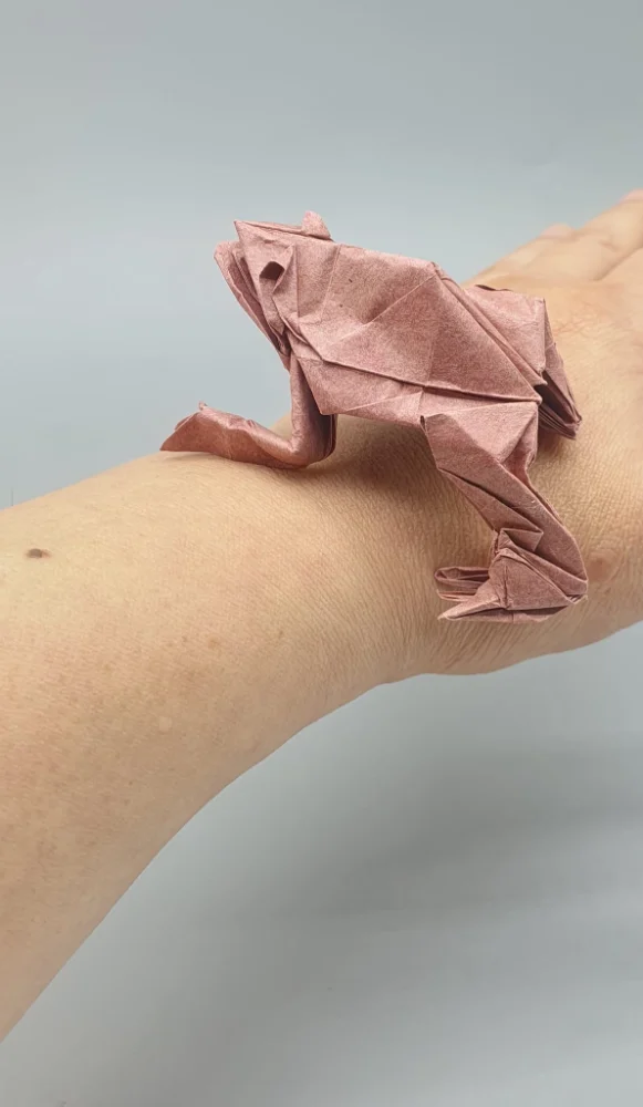 Origami Frog designed by Red Paper - Wonseon Seo, folded by Red Paper - Wonseon Seo, using Youjeji paper (Red)