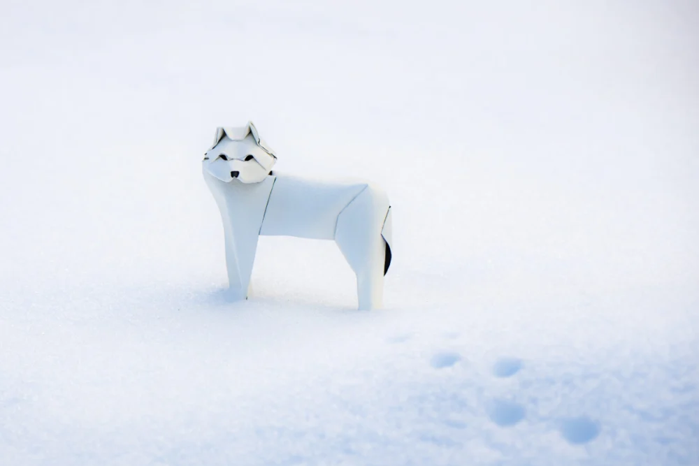 Origami Artic Wolf designed by Rebouillat Jonathan, folded by Rebouillat Jonathan, using ARCHES paper (Cold Pressed (Fine Grain) - 185 gsm)