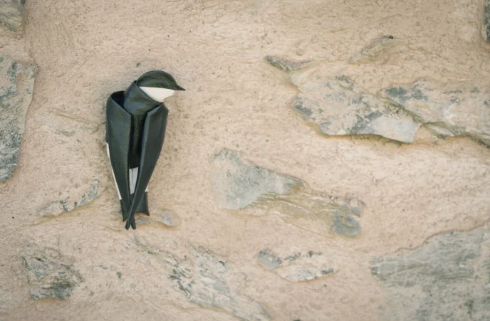 Origami Swallow designed by Rebouillat Jonathan, folded by Rebouillat Jonathan, using ARCHES paper (Painted on one side)