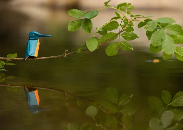 Origami Kingfisher designed by Rebouillat Jonathan, folded by Rebouillat Jonathan, using ARCHES paper