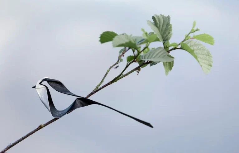 Origami Long-tailed Tit designed by Rebouillat Jonathan, folded by Rebouillat Jonathan, using ARCHES paper (Painted on one side)