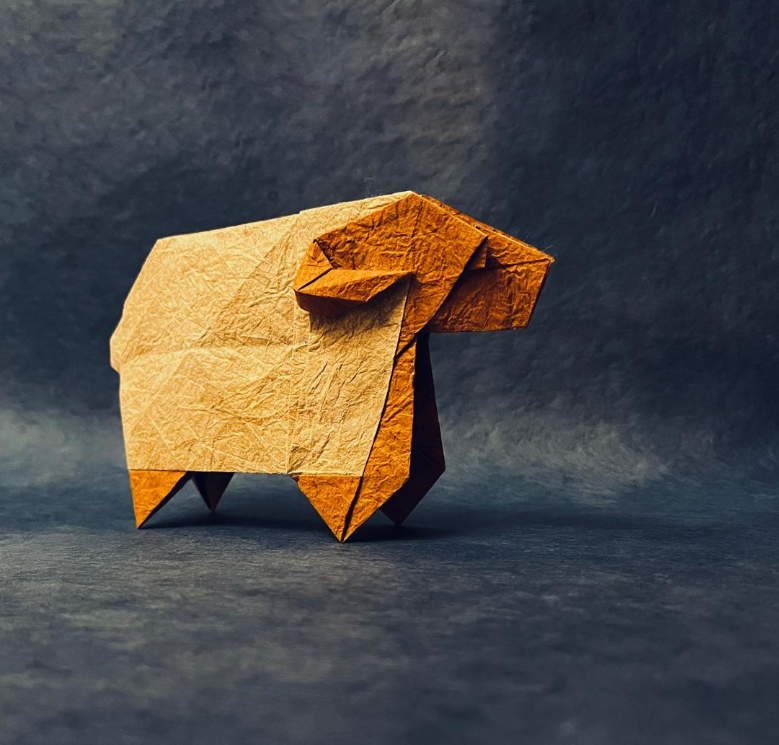 Sheep
