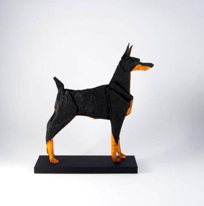Doberman