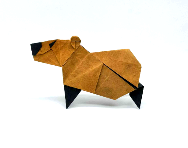 Capibara