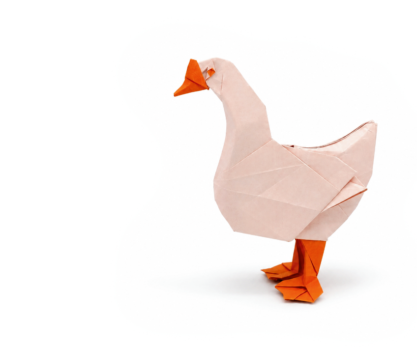 Origami Goose designed by Zhang Yi Fan / 张义帆, folded by Zhang Yi Fan / 张义帆, using Duo Extra Large paper