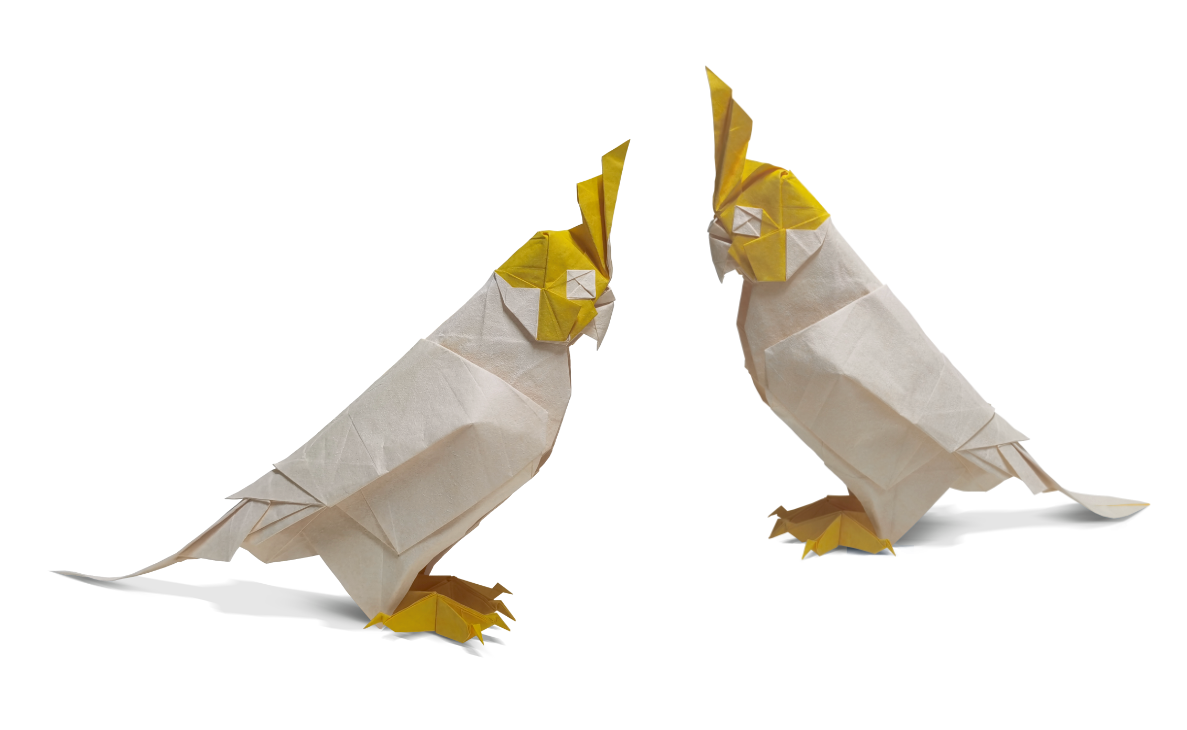 Origami Cockatiel designed by Busi / 不思, folded by Busi / 不思, using Duo Extra Large paper