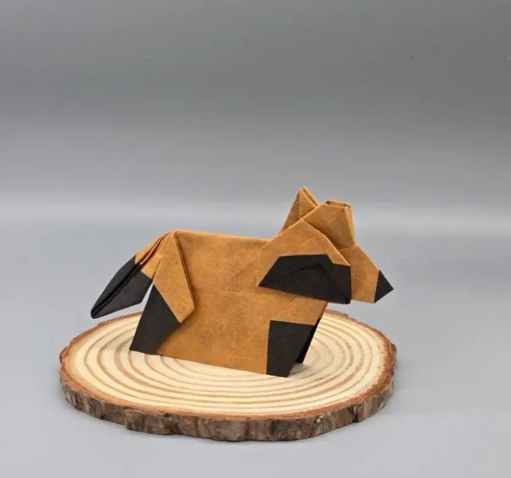 Origami Raccoon dog designed by Tu Kaiming, folded by calerodriguezchristian