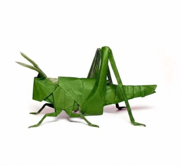 Origami Locust Nimph designed by Kim Jin Woo, folded by origami_follia, using Nature Fold paper (Craft T)