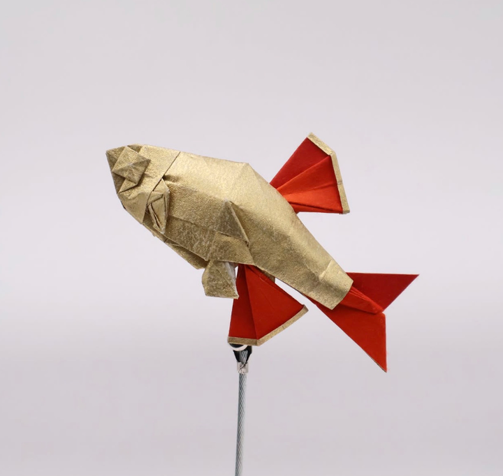 Origami White Cloud Mountain Minnow designed by Kamiya Satoshi, folded by Roman Kruzliak, using Tissue-foil paper (GOLD)